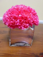 /album/virag-dekoracio/carnation-dome-1-jpg/